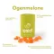 Ipalat Pastil Flavour Edition Ogenmelon (40 adet)