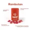 Ipalat Pastil Aromalı Baskı Rambutan (40 adet)