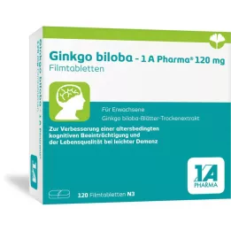 GINKGO BILOBA-1A Pharma 120 mg film kaplı tablet, 120 adet