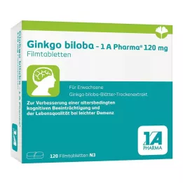 GINKGO BILOBA-1A Pharma 120 mg film kaplı tablet, 120 adet