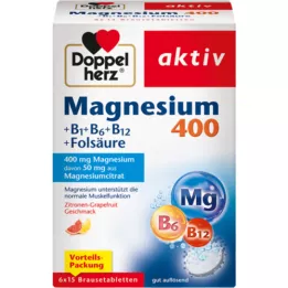 DOPPELHERZ Magnezyum 400+B1+B6+B12+Folik asit BTA, 6X15 adet