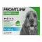 FRONTLINE COMBO köpeklerde kenelere, pirelere karşı M (10-20 kg), 3 adet