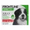 FRONTLINE COMBO köpeklerde kenelere, pirelere karşı XL (40-60 kg), 3 adet