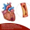 BEH Artery+ Kapsül, 90 Kapsül
