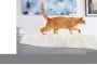 Instructions for use for FRONTLINE COMBO SPOT ON Kedi, 3 adet - 4