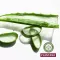 Plantana Aloe Vera Bakım Organik Aloe Veralı Duş Banyosu, 500 ml