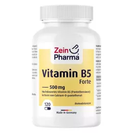 VITAMIN B5 PANTOTHENSÄURE 500 mg kapsül, 120 Kapsül